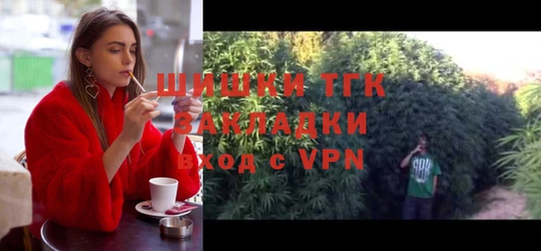 дживик Абинск
