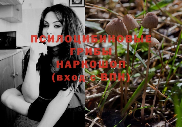 MESCALINE Абаза