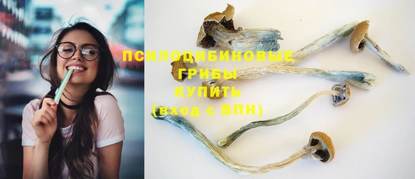 дживик Абинск