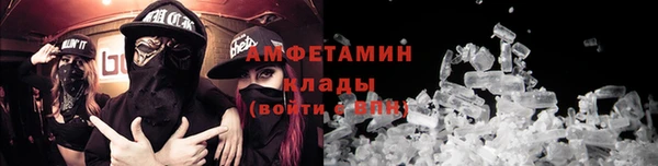 PSILOCYBIN Алзамай