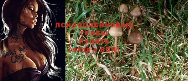 МДПВ Абдулино